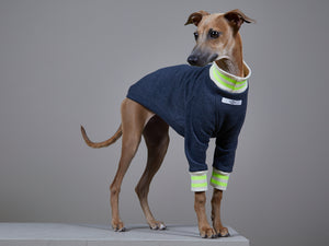 Sueter Azul Jaspe con Cuello y Puños a Rayas Beige y Verde Neon - Galgo Italiano / Whippet INDIGO