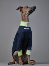 Cargar imagen en el visor de la galería, Sueter Azul Jaspe con Cuello y Puños a Rayas Beige y Verde Neon - Galgo Italiano / Whippet INDIGO
