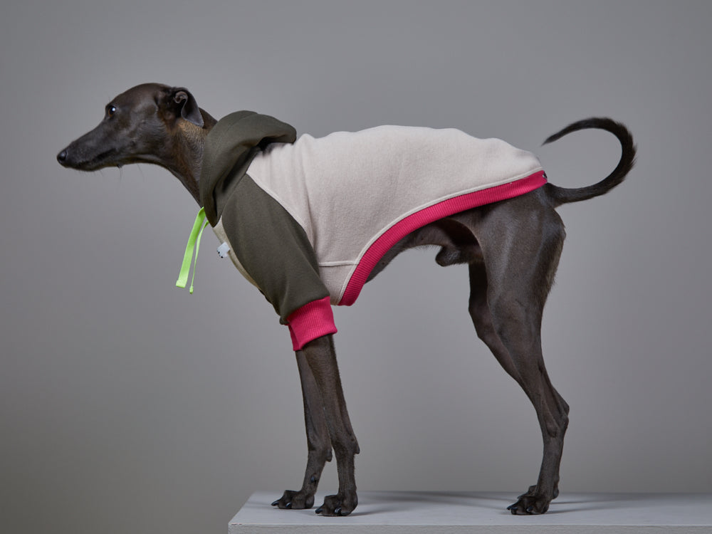 Buzo Capucha Multicolor - Galgo Italiano / Whippet BLUSH