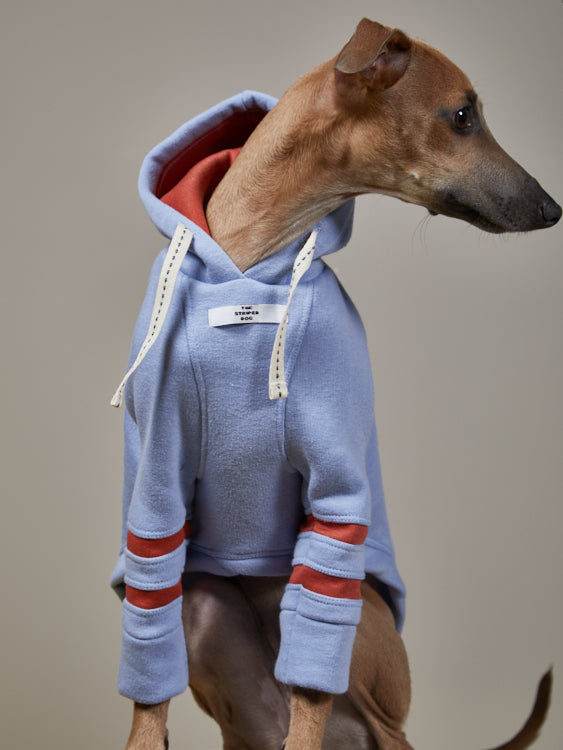 Buzo Capucha Azul Claro - Galgo Italiano / Whippet STRIPE