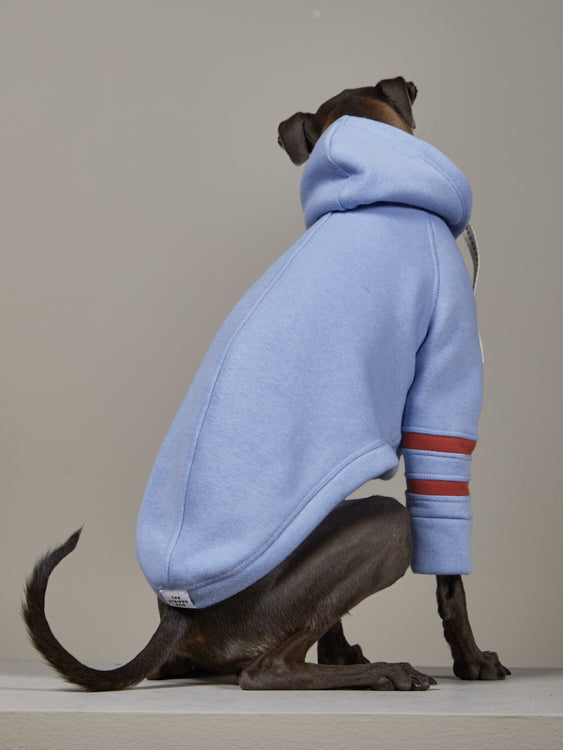 Buzo Capucha Azul Claro - Galgo Italiano / Whippet STRIPE