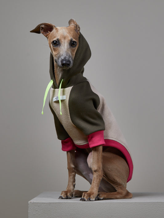 Buzo Capucha Multicolor - Galgo Italiano / Whippet BLUSH