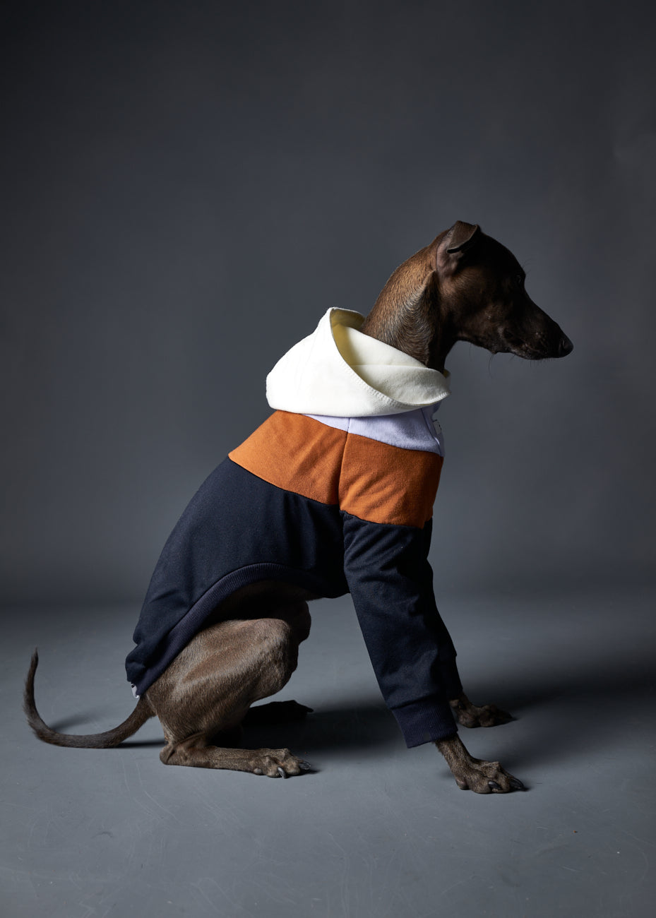 Buzo Capucha en Bloques de Color Oscuro - Galgo Italiano / Whippet HOLLYWOOD