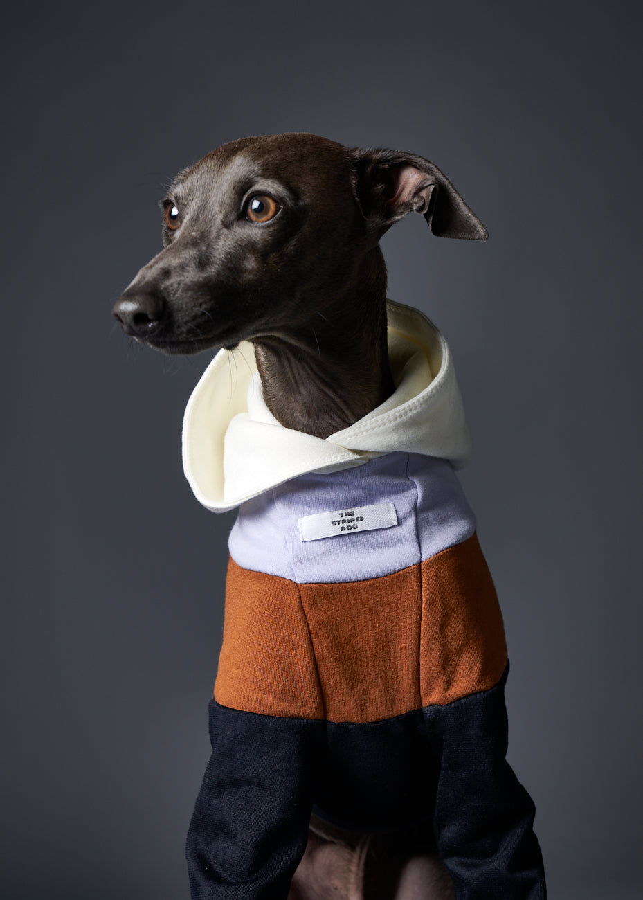 Buzo Capucha en Bloques de Color Oscuro - Galgo Italiano / Whippet HOLLYWOOD