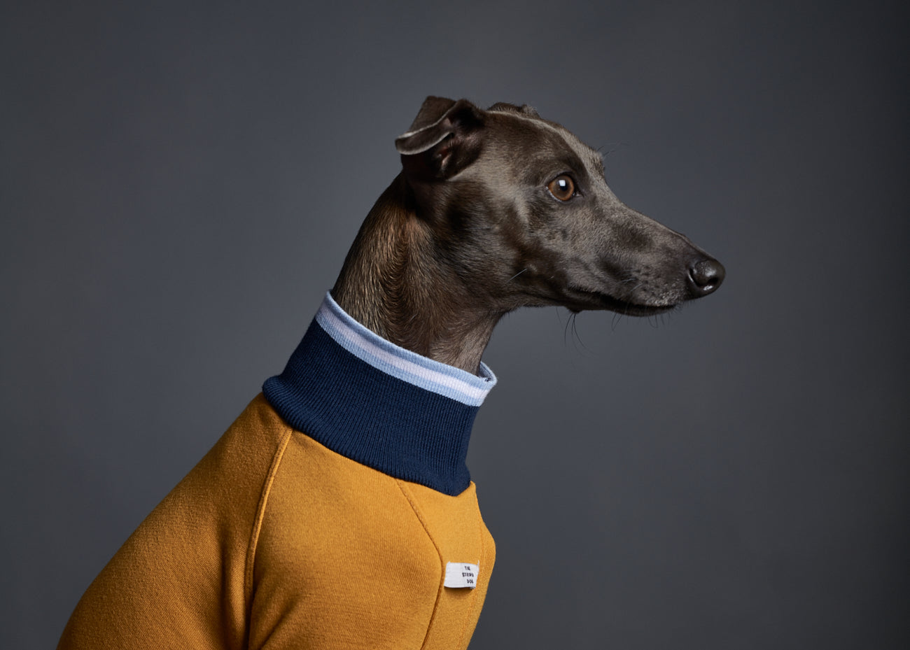 Sueter Cuello Tortuga Manga Larga - Galgo Italiano / Whippet CARSON