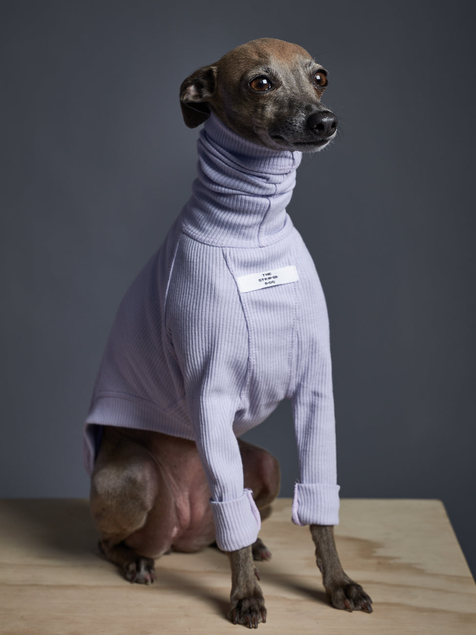 Sueter Cuello Tortuga Manga Larga Lila - Galgo Italiano / Whippet BEVERLY