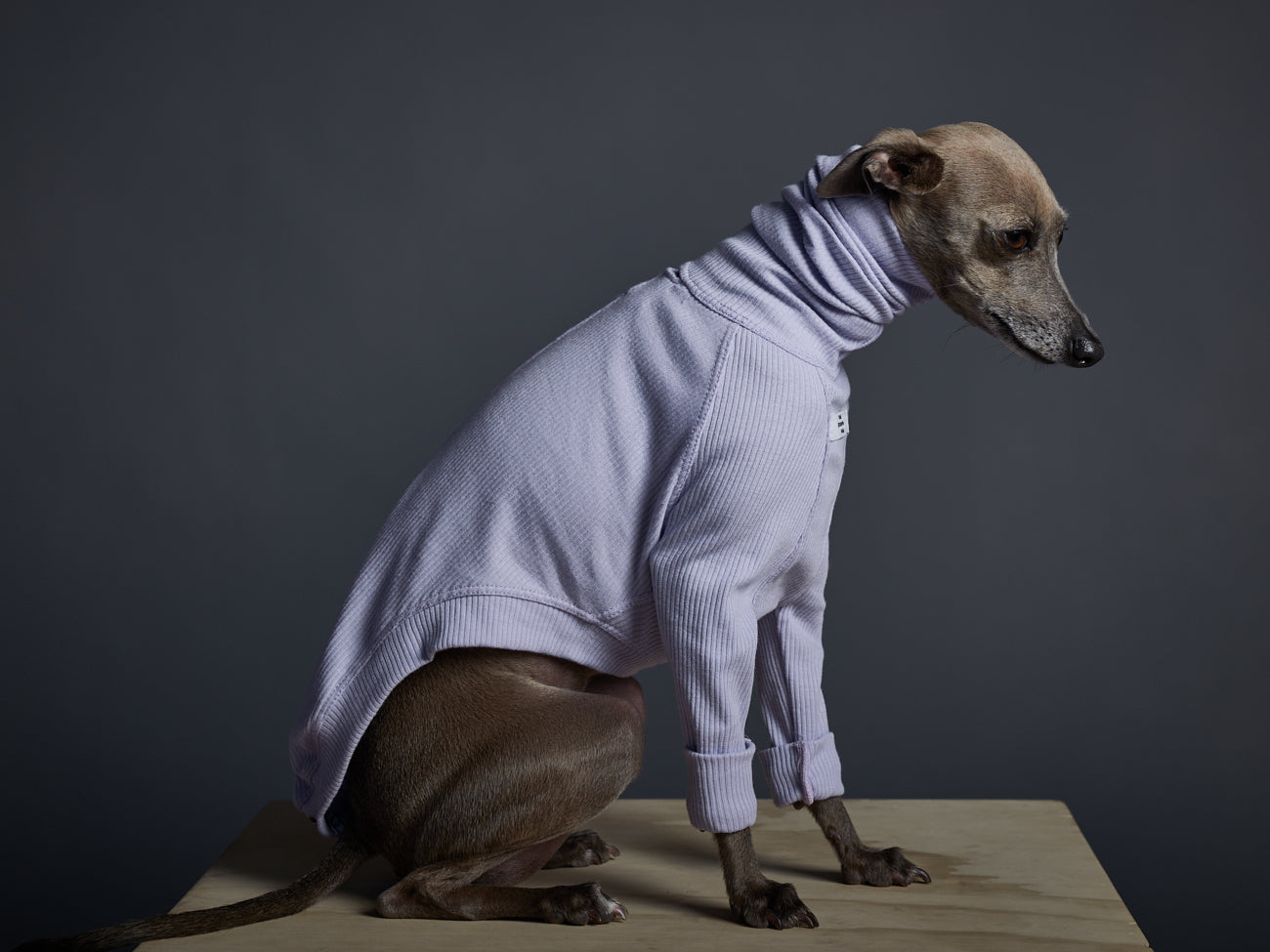 Sueter Cuello Tortuga Manga Larga Lila - Galgo Italiano / Whippet BEVERLY