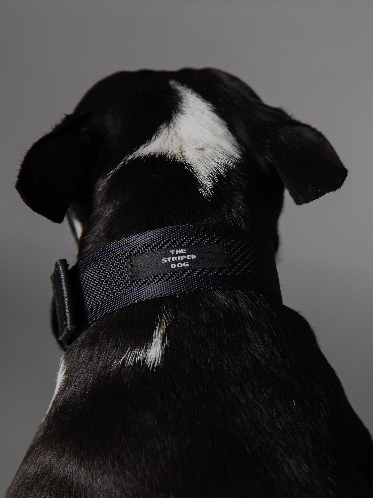 Collar ST MARKS