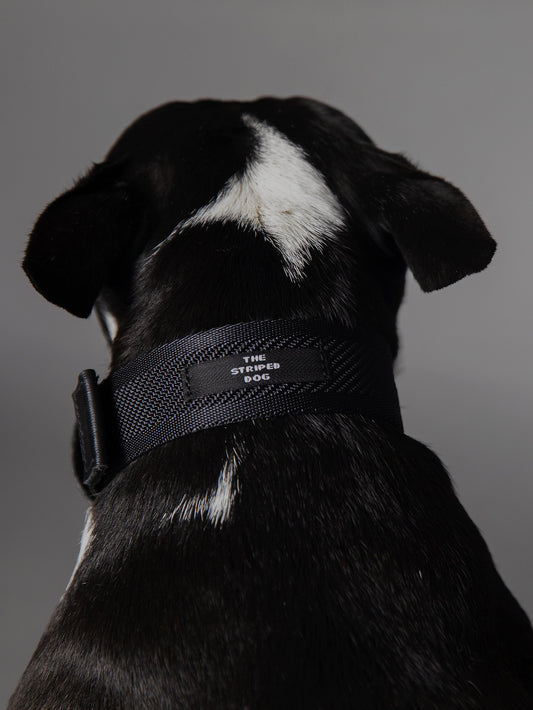 Collar ST MARKS